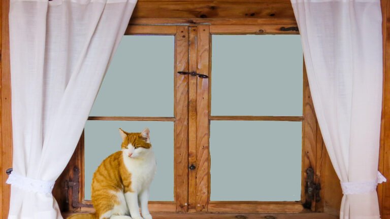 Quel matériau choisir pour ses fenêtres ? Le guide comparatif